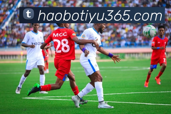 好博体育平台生态图