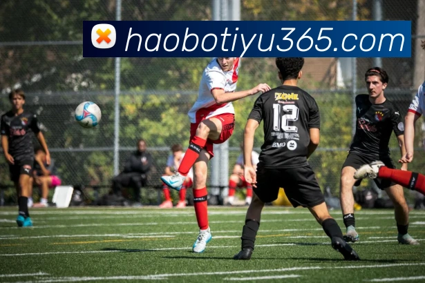 好博体育APP 封面图